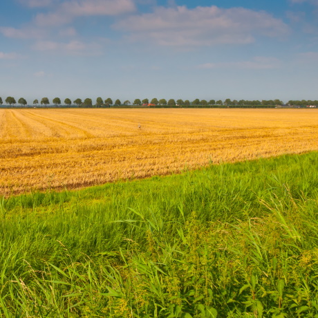 � ���� ����� ����� ������ ������ � �������� �������������������� ������