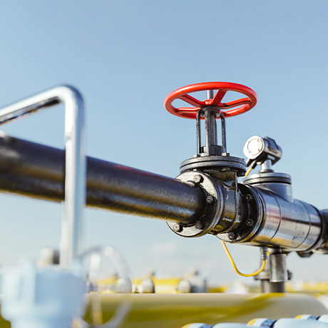 Президент РФ продлил возможность оплачивать рублями поставки газа через любые банки