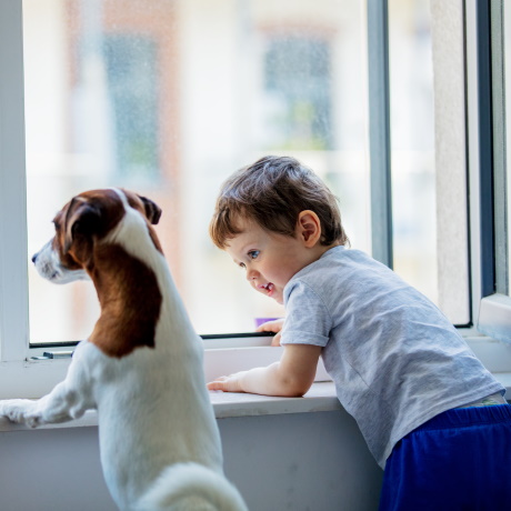 � ������� ������ ������ �� ����������� ���������� �������� �������� ���������