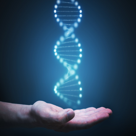 ������������ ��������� ��� ����� ����� ��������� ������������ �������� �����������