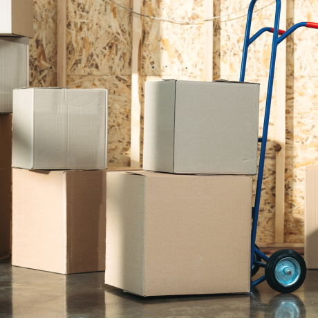 �������������� ������ ������� � ������������� ���������� ��������� � � 2024 ����