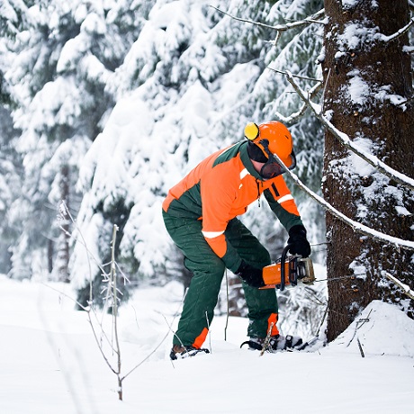 ������� �������� ������������� �� ������������ ����������� ����� � ������