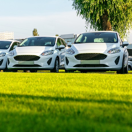 КС РФ подтвердил, что регионы вправе вводить штрафы за парковку на газонах