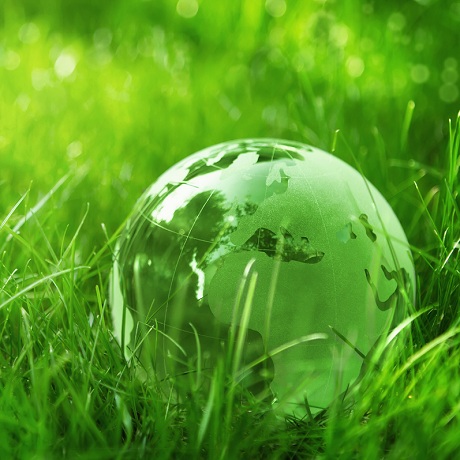 ���������� ������ ���� �������� ������ �������������� �����