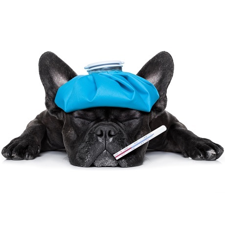 ����� ��������� ����� ���������� ����� �� ���� � �� ������� ��������� �������