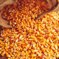 Установлен порядок возмещения производителям зерна части затрат на производство и реализацию продукции