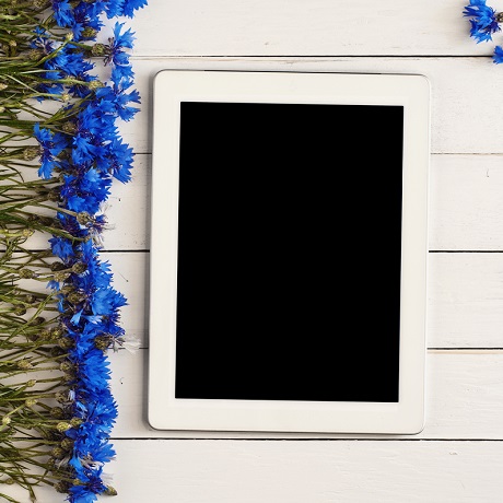 ����� �������� ��������� � �������� ������� ���������� ����������� ������� ������������