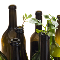 Производители вин и коньяков могут получить право на государственные субсидии