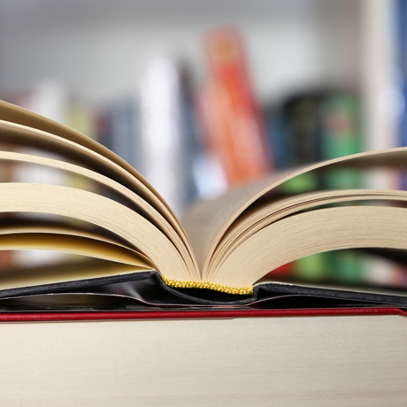 ���� ������ ��������� ����� �������� �� 23-����� ����������� ���� �����