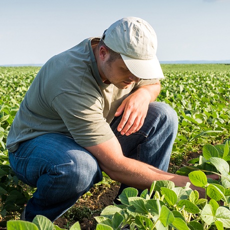 opredeleny-pravila-naznacheniya-fiksirovannoj-25--noj-doplaty-k-strahovoj-pensii-selskim-zhitelyam-v-sleduyushchem-godu
