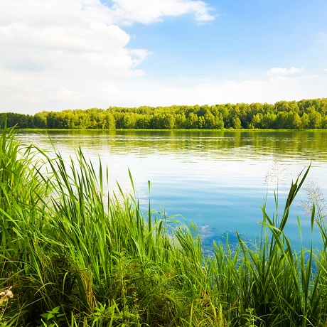 Водный налог на территории новых субъектов РФ – разъяснения Минфина России