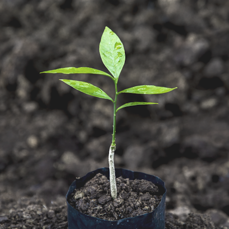 ���������������� ����� ���������� ��������� ����� ��������� � ������