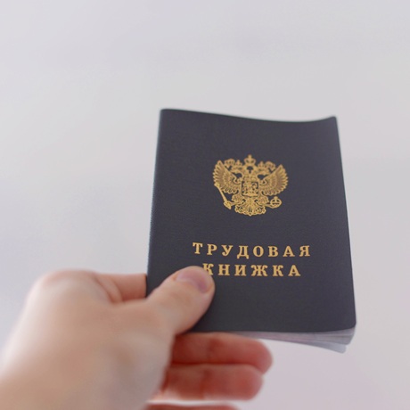 Госдума приняла закон о трудовых и социальных гарантиях участникам СВО