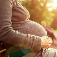 Беременные женщины, возможно, смогут получить пособие от ФСС России, если операции по счету работодателя приостановлены