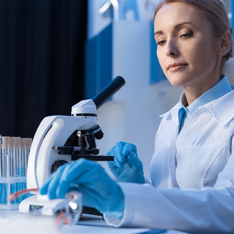 ���� ��������������� ������������� ���������� �������� �� ���� �������