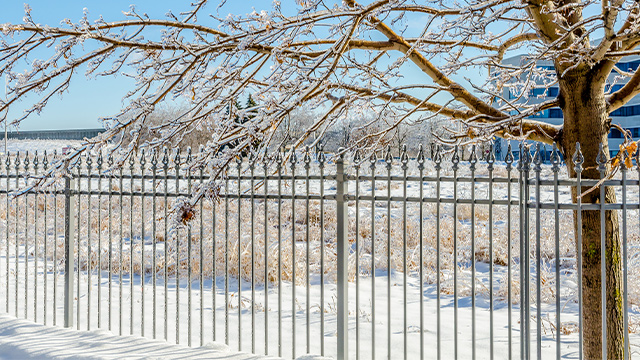 ������������ ���� ���������� ����� �������� � ���������������� ���������������