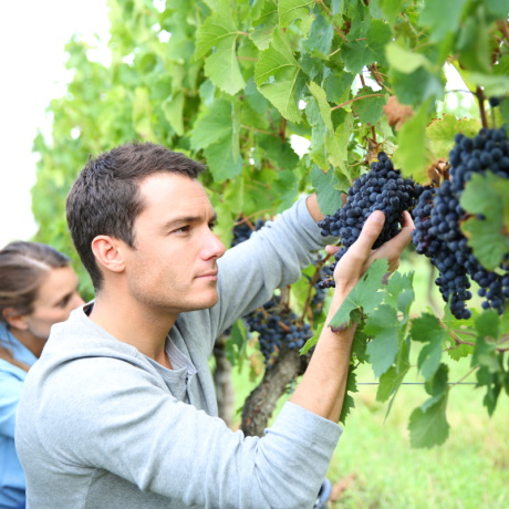 � ������ ����������� ���������� ��������������� ������� ������������ �������������� ���������