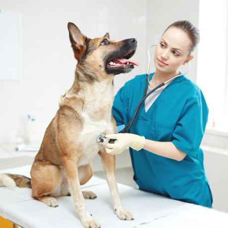 ���� ���������� ���������� ������� ������ ����������������� �������