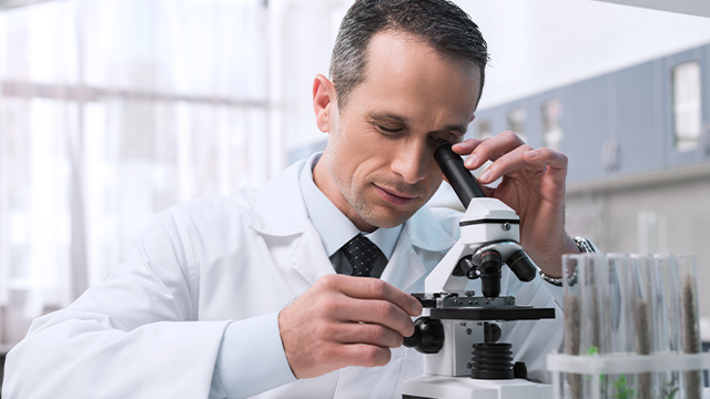 �������� ������ ������� ���������� ���������� ����� ��� ����������������