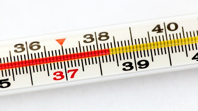 ����������� � 2026 ���� ������ �������� ������� � ������ ������������������