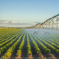 Россельхознадзору могут вернуть полномочия по надзору за использованием пестицидов и агрохимикатов