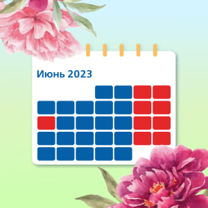 Инфографика