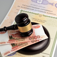 Разработан законопроект о предоставлении единовременной выплаты в размере 20 тыс. руб. из средств материнского капитала