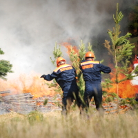 � ��������������� ����������� ������� ����������� �������