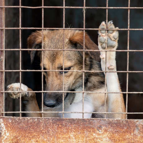 ��������� �������� �� ��������� ���������� � ����� �� �������� ����� ������