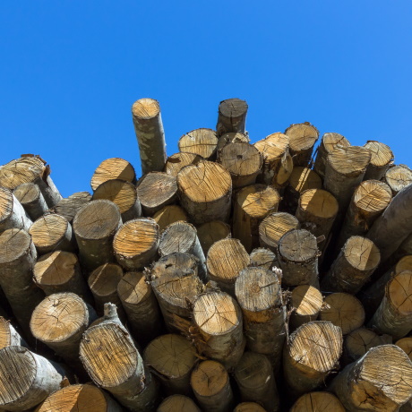 ������� ������� ������������� �� ����� ������ �������� �������� ����������