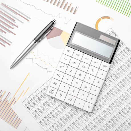 Владимир Путин поручил провести