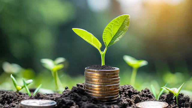 ������������� � ��������� ������ �������� ������������� ���� �� 15 ������