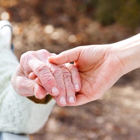 � ������ ����� ��������� ������������ ���������� ����������� �� ������ ����������� � ����������� ���������� �����