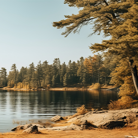 Земли лесного фонда разрешили использовать для строительства водохранилищ и портов