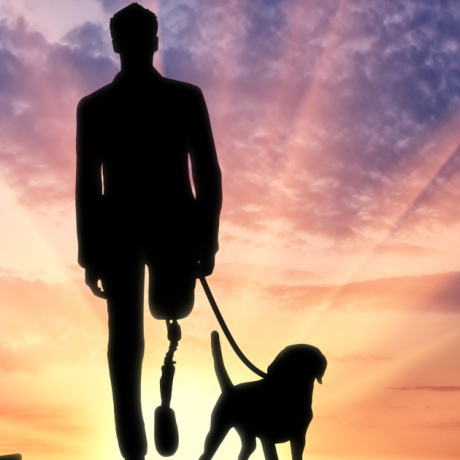 �������������� �����-�������� ����� �������� ������������ �� ������� ������