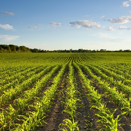 Риски банкротства для сельскохозяйственных кредитных потребительских кооперативов  могут минимизировать