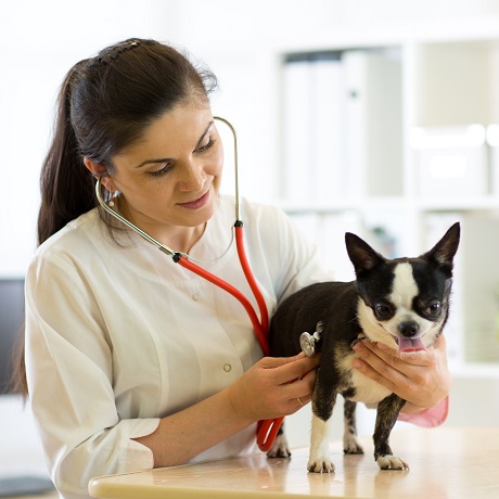 ��������� ����� ��������� ���������� �� ���