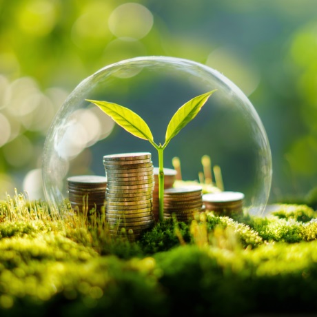 Минприроды России планирует повысить ставки экологического сбора с 2026 года