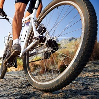 На спокойных улицах у велосипедистов в специальных зонах будет преимущество над автомобилями