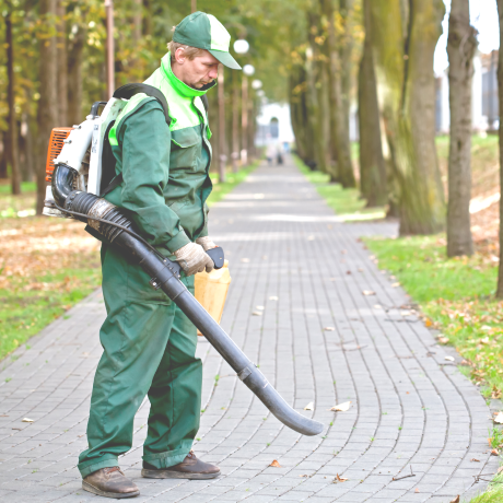 ������������ �� ���� �������� � ���������� �������� �� �������������� ������