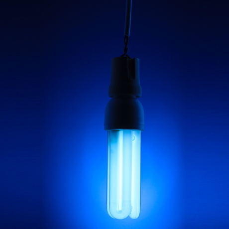 ��������������� �������� ����������� �� ��������������� ������� ��������������