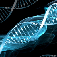 � ������ �������� ������������ ���� ������������ ����������