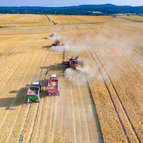 Освобождение от транспортного налога: определяем машины, занятые в сельском хозяйстве