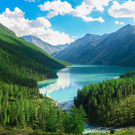 �������� ������ ����������� �������� �������� ��� �������������� ������������