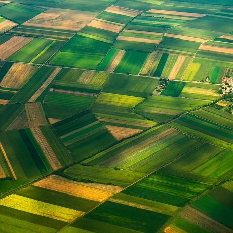 ������������ ���������� ������ ���� �� ����� ������������� ������������