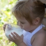 Внесены изменения в техрегламенты на молоко и на продукцию для детей и подростков