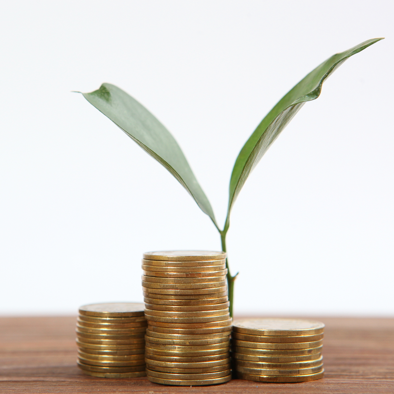 ������������� ���� ����� ������� �� �������