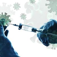 Право на два выходных дня при вакцинации от COVID-19 могут закрепить в ТК РФ