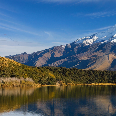 ������� ��������� ��������� ������ ��� ��������-���������� ���������� ��������