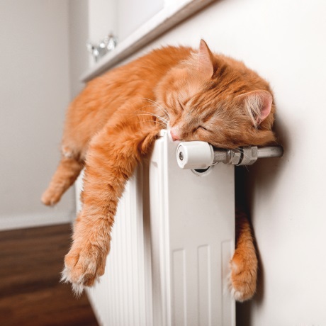 �������������� ����� ��������� ���������� ��������� ��� ��� ������� ����